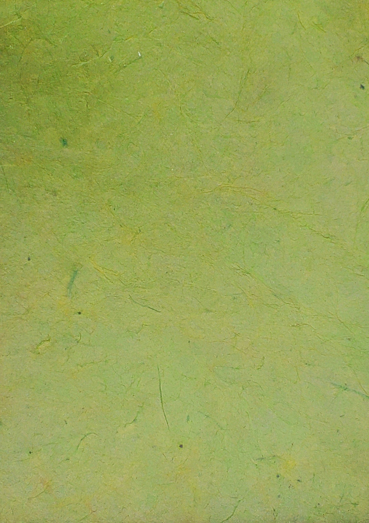 Lokta Dyed Aspargus