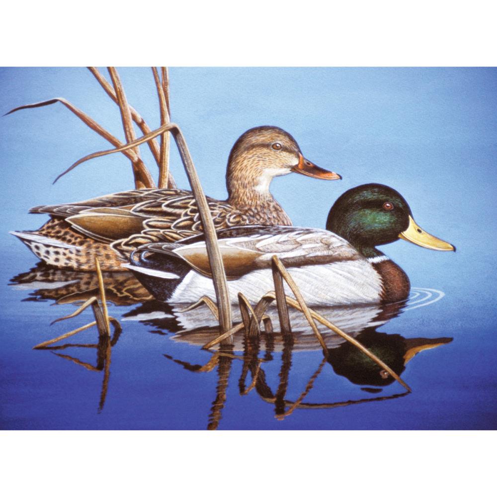 Royal & Langnickel® Paint By Number Kit 15.375"X11.25", Blue Water Mallards