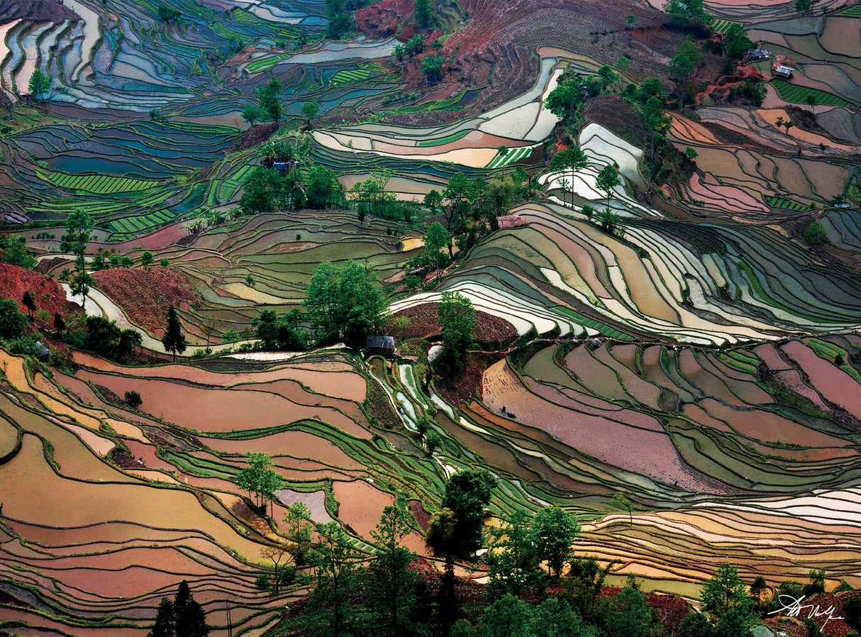 Art Wolfe: Rice Terraces Puzzle