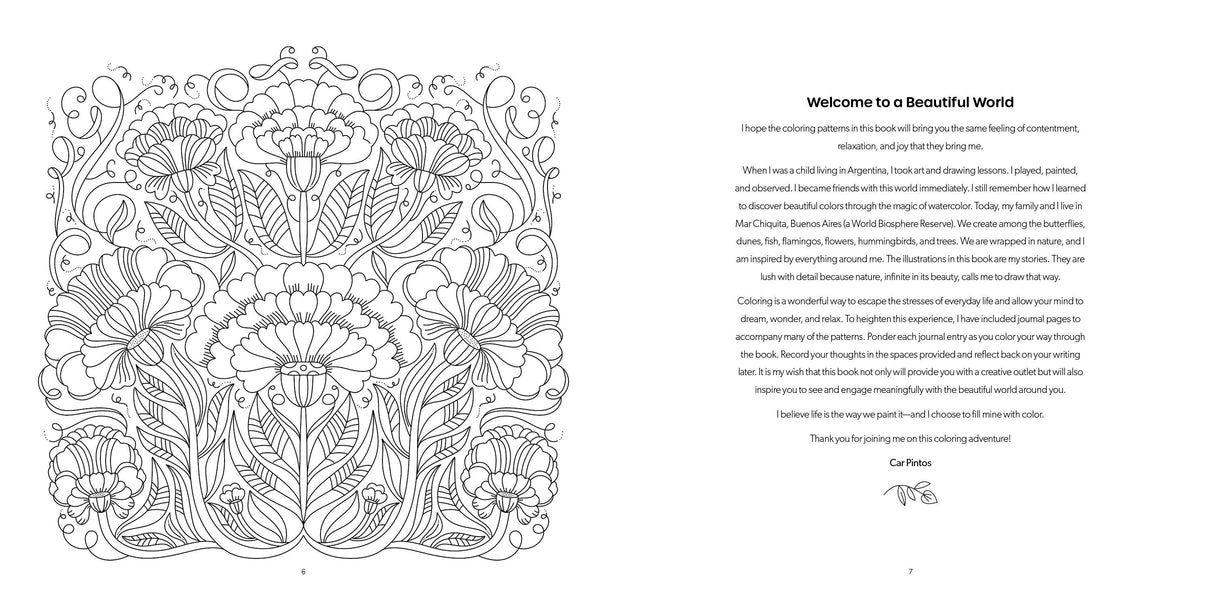 Beautiful World Coloring Book