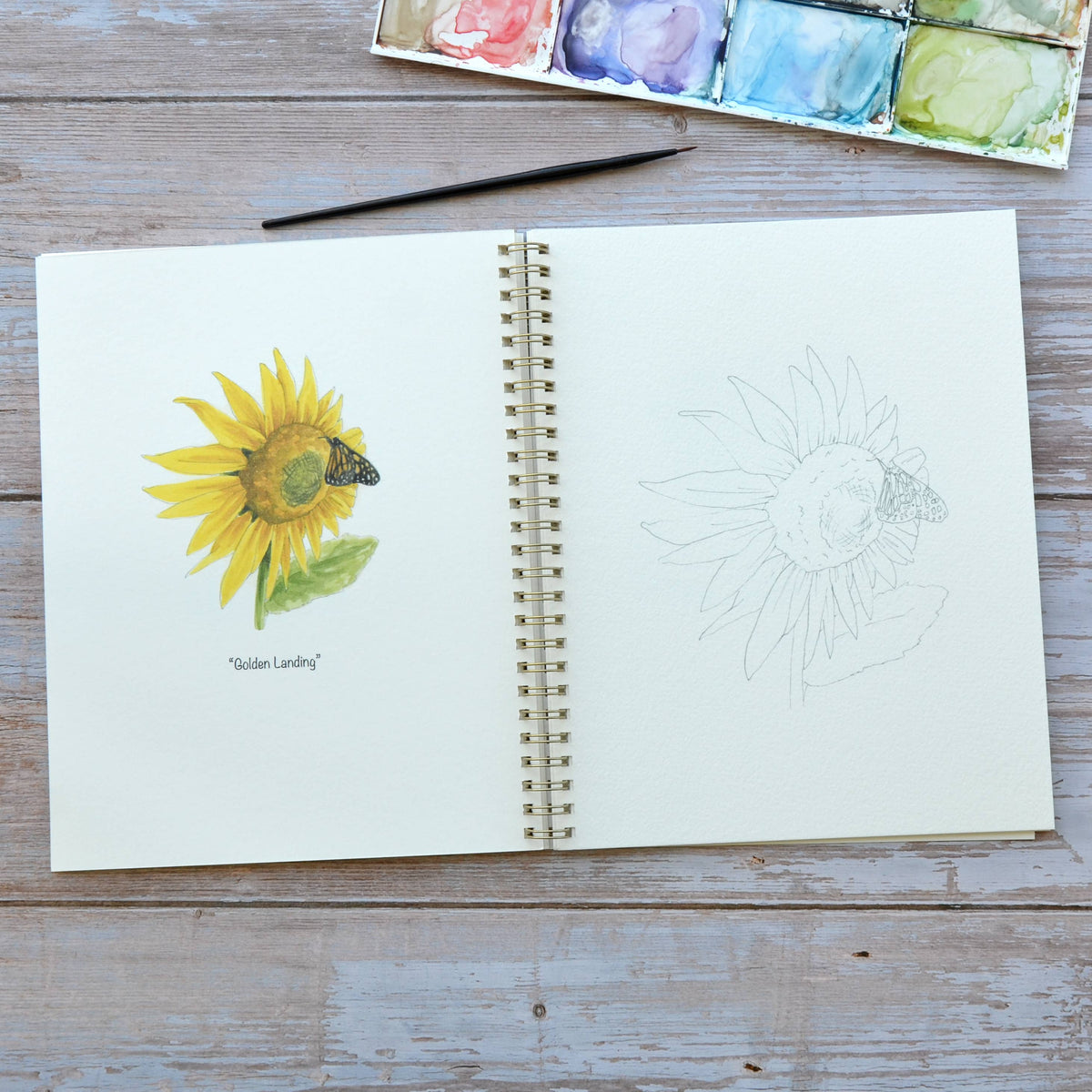 Watercolor workbook, Sunflower Watercoloring book