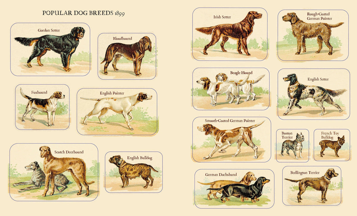 Cynthia Hart's Victoriana Dogs: The Sticker Book