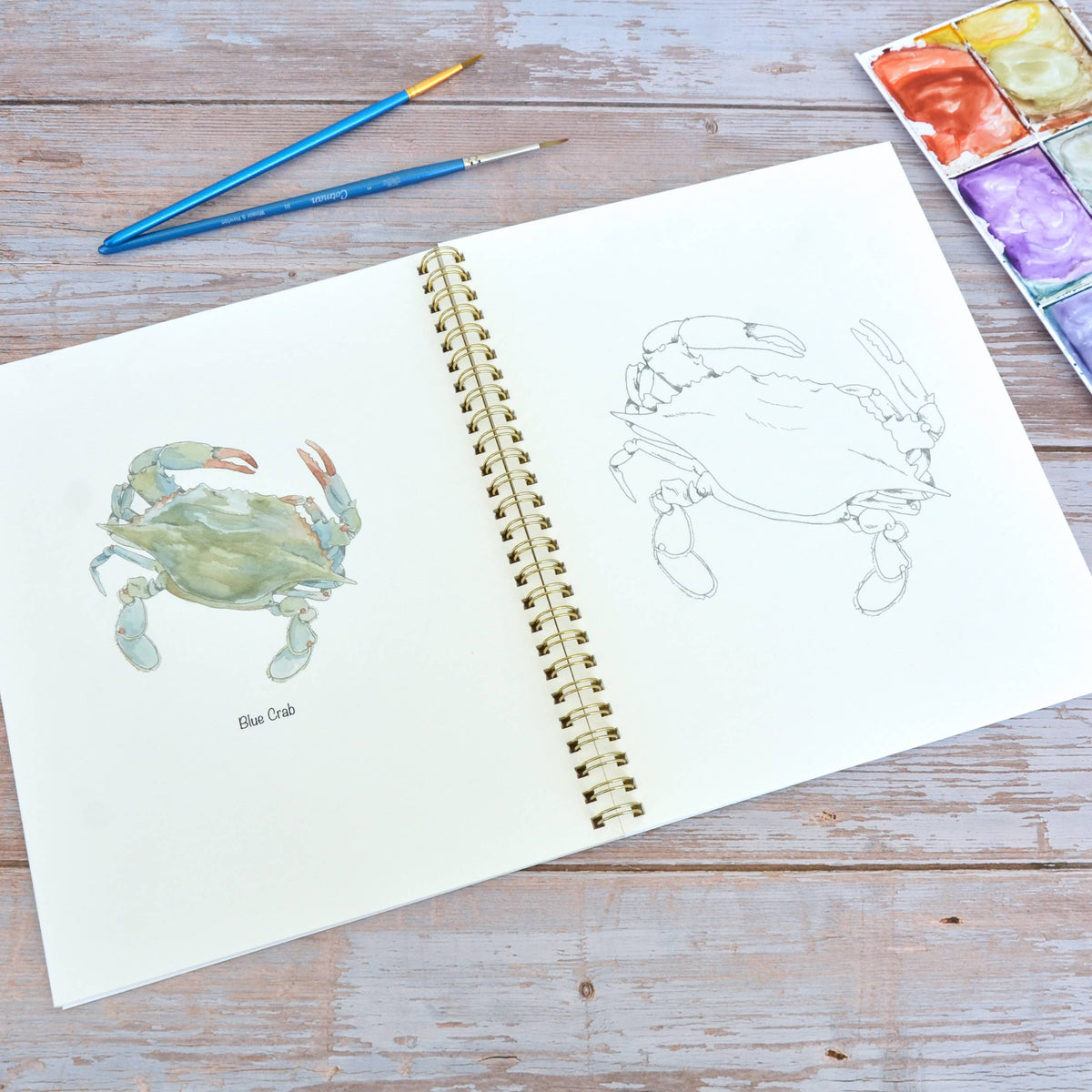 Watercolor workbook, Maryland Themed Watercoloring book