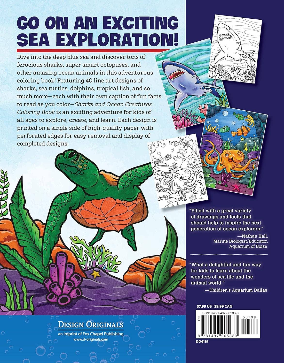 Sharks and Ocean Creatures Coloring Book