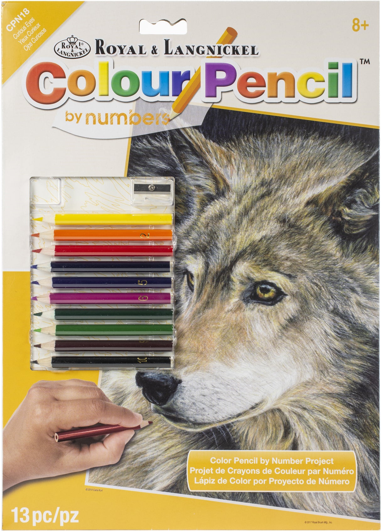 Royal & Langnickel Color Pencil By Number Kit 8.75"X11.75"-Curious Eyes