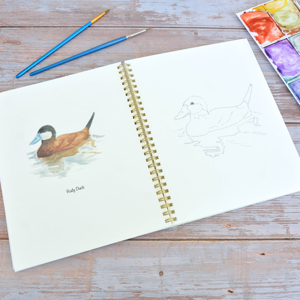 Watercolor workbook, Water Birds Themed Watercoloring book