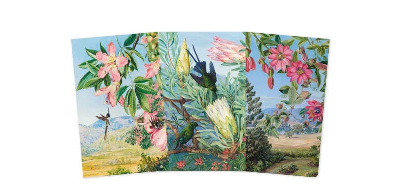 Kew Gardens' Marianne North Set of 3 Mini Notebooks