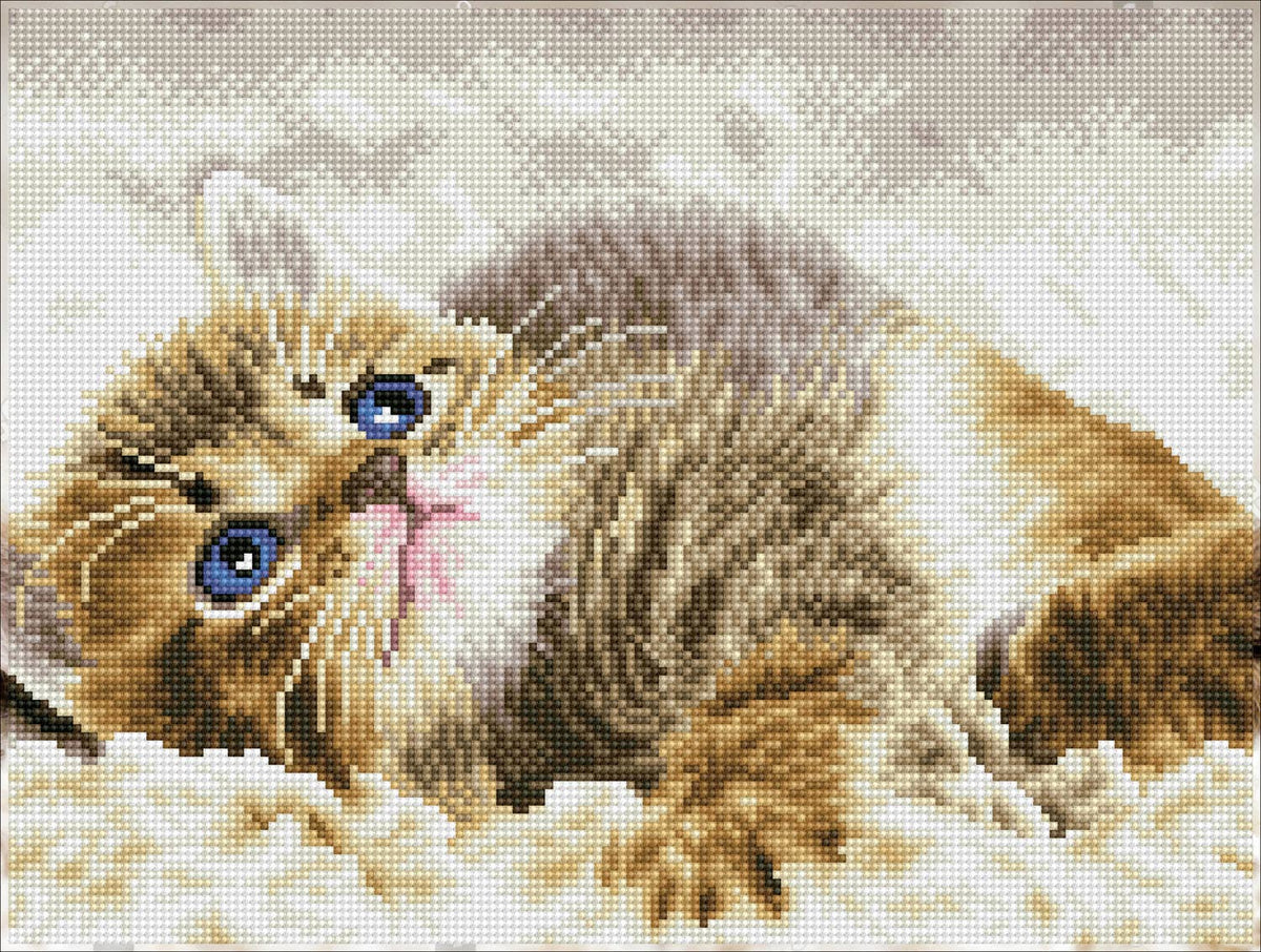 Baby Pie (Framed Square)