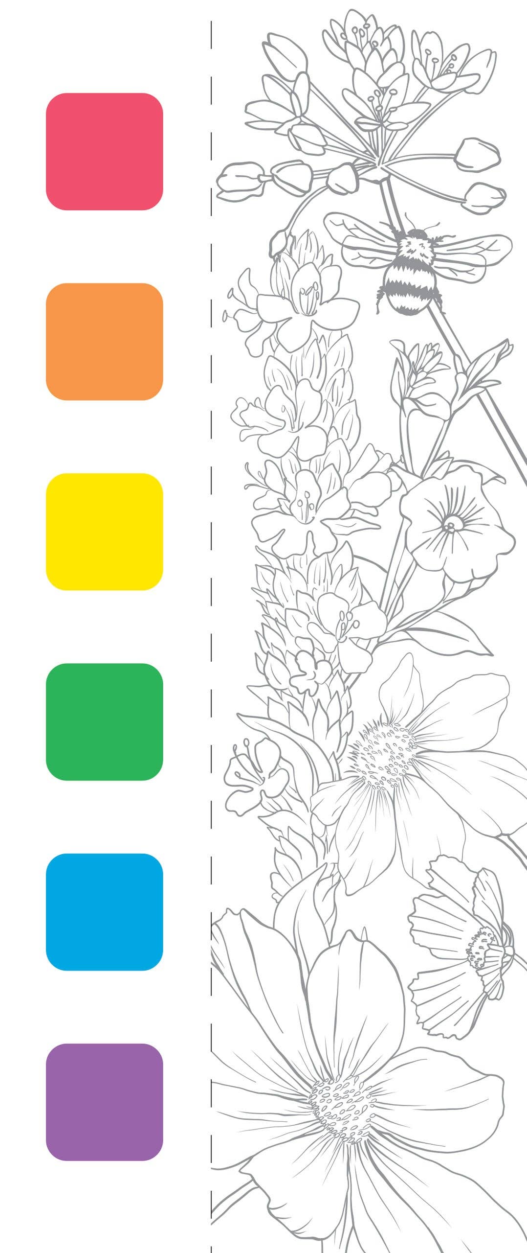 Wildflowers Watercolor Painting Kit