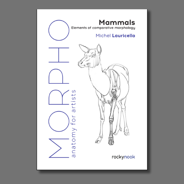 Morpho: Mammals