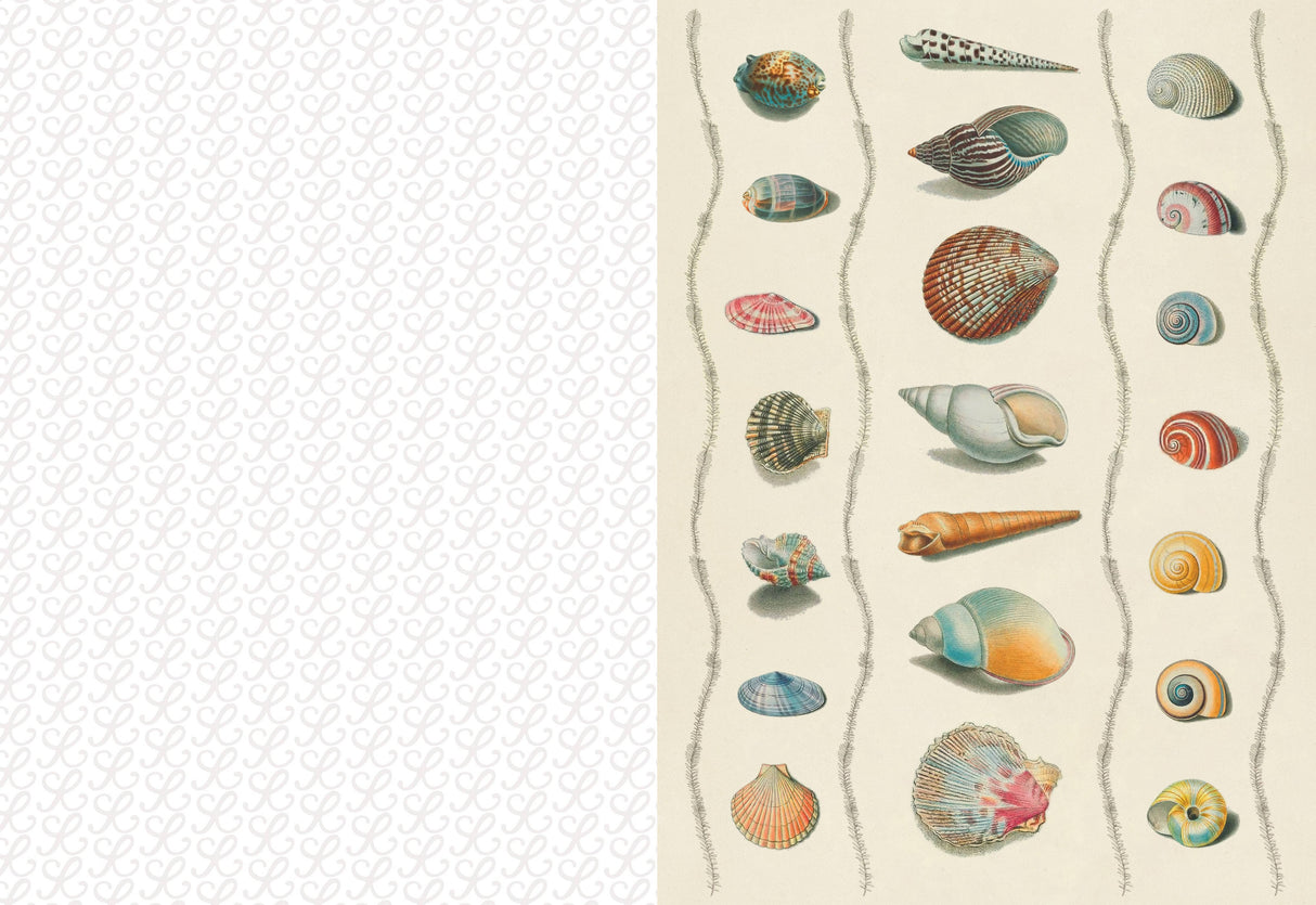 Collage Compendium