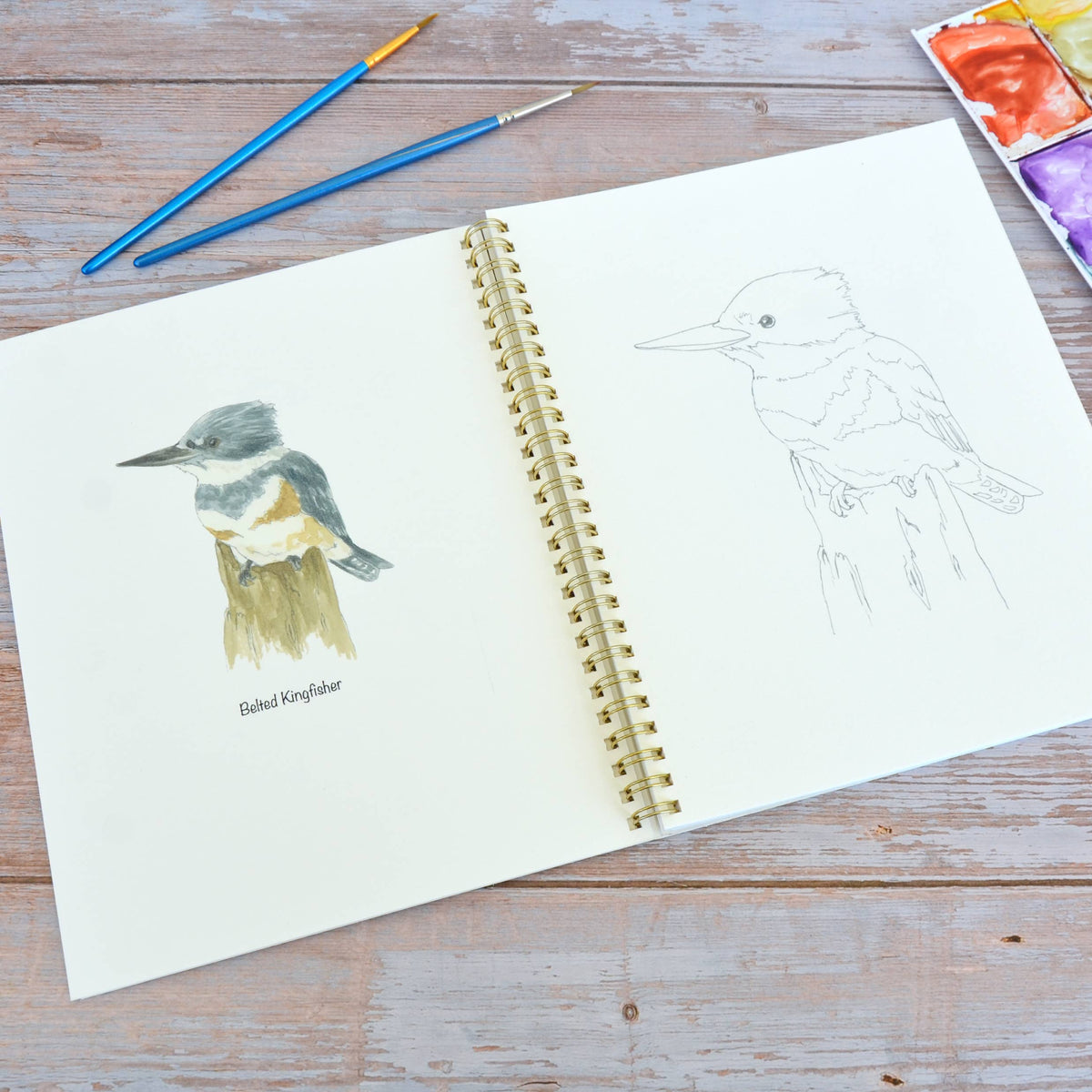 Watercolor workbook, Water Birds Themed Watercoloring book