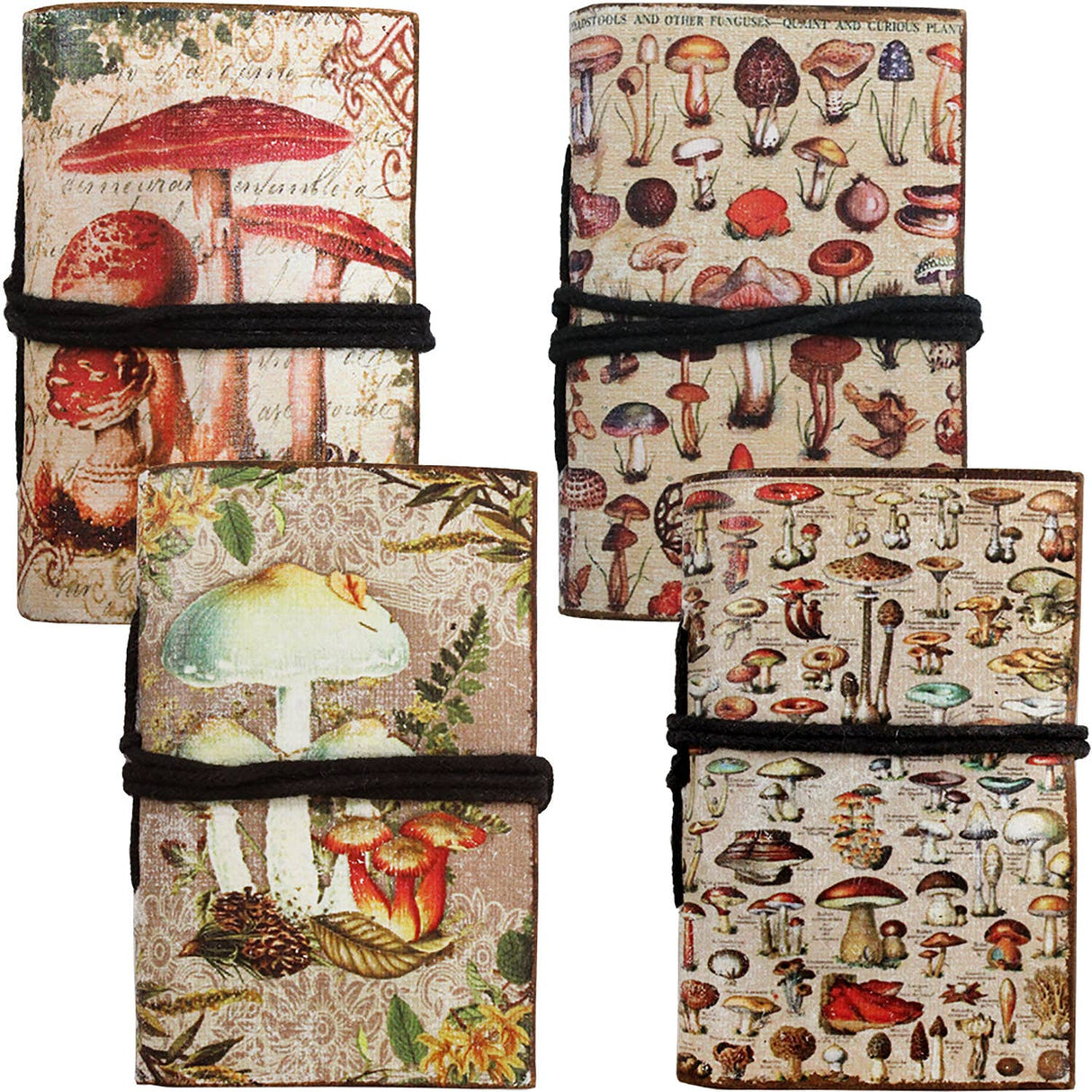 Mushroom Mini Journal with tie