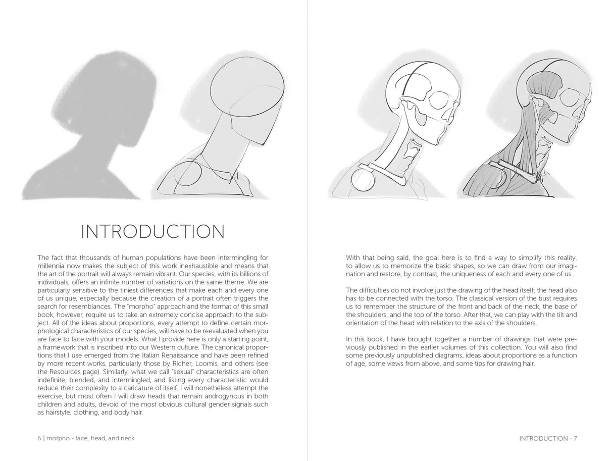 Morpho: Face, Head, And Neck