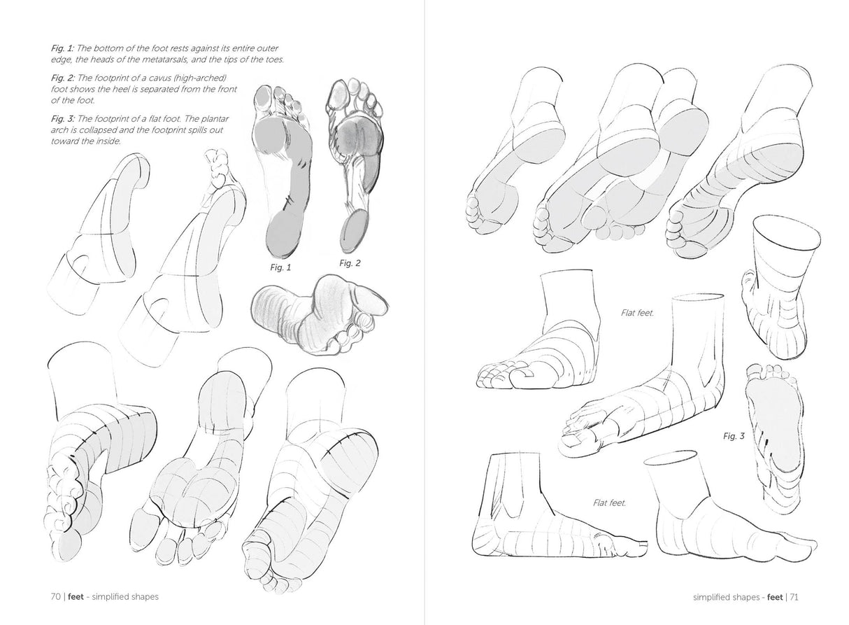 Morpho: Hands And Feet