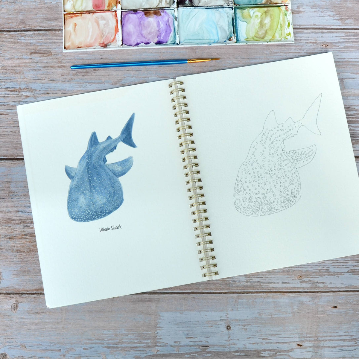 Watercolor workbook, Shark themed Watercoloring book