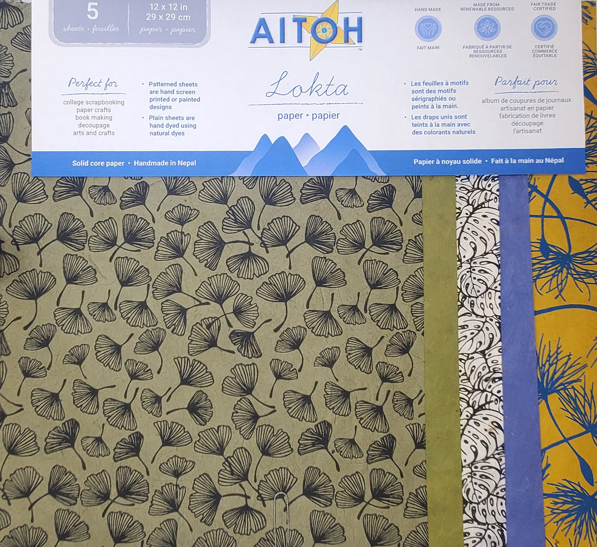 Aitoh Lotka Paper Pack 8.5"X11" 5/Pkg-Leaves & Seeds