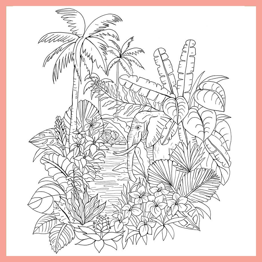 Tropical Wonderland: A Calming Coloring Book for Adults