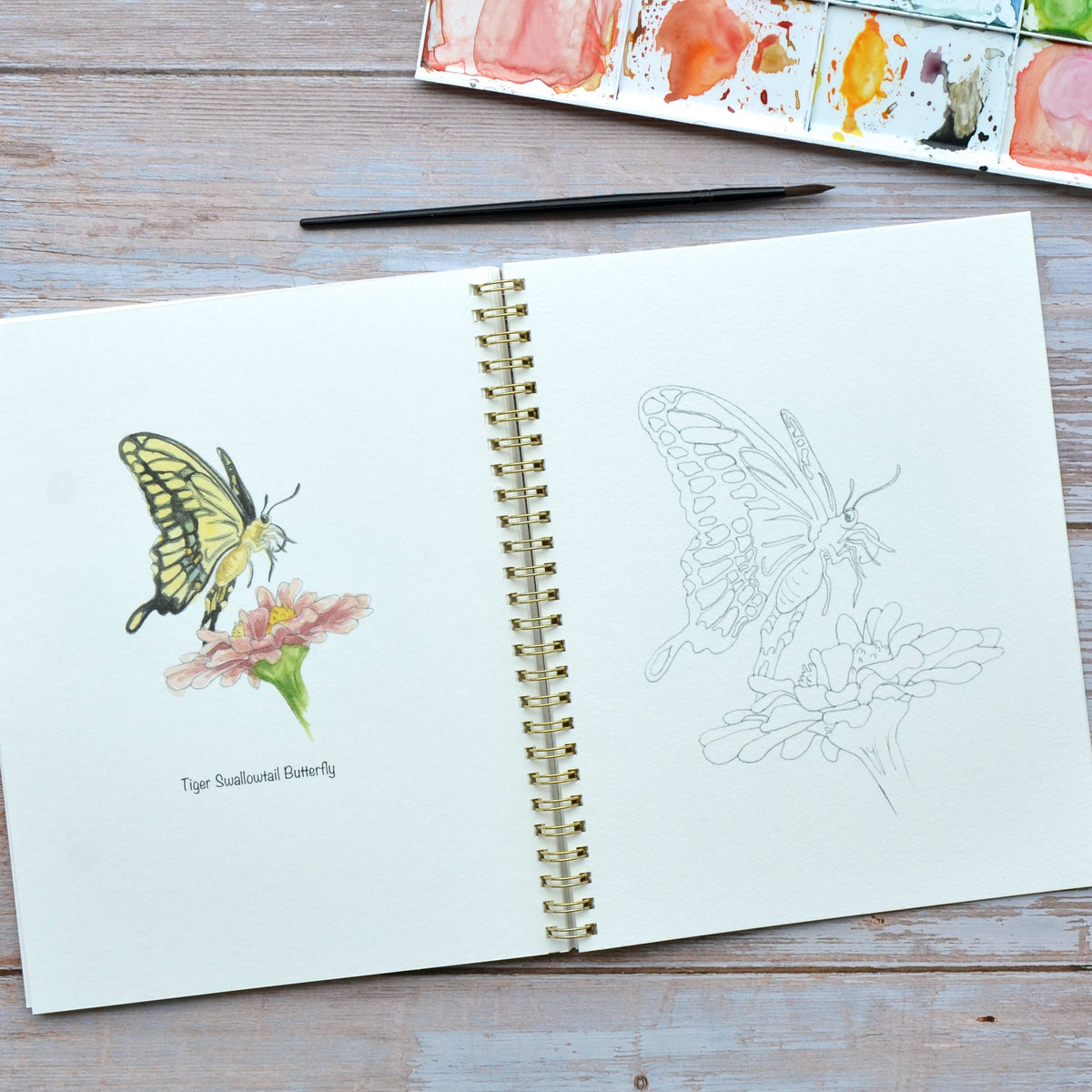 Watercolor workbook, Virginia Themed Watercoloring book