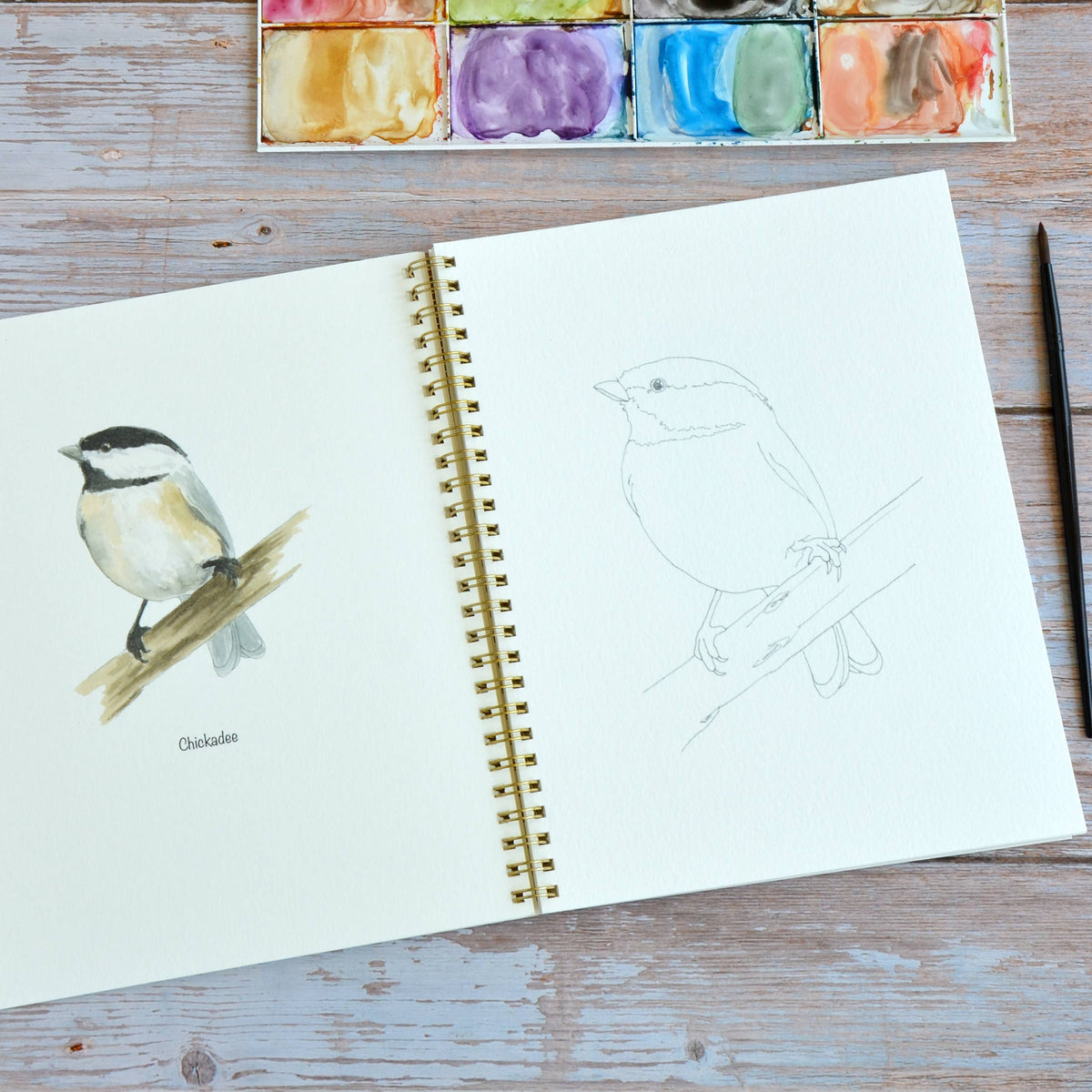 Watercolor workbook, Backyard Birds Watercoloring book