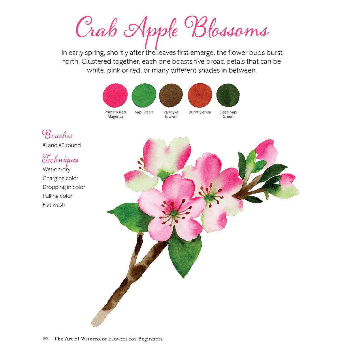 The Art of Watercolor Flowers for Beginners