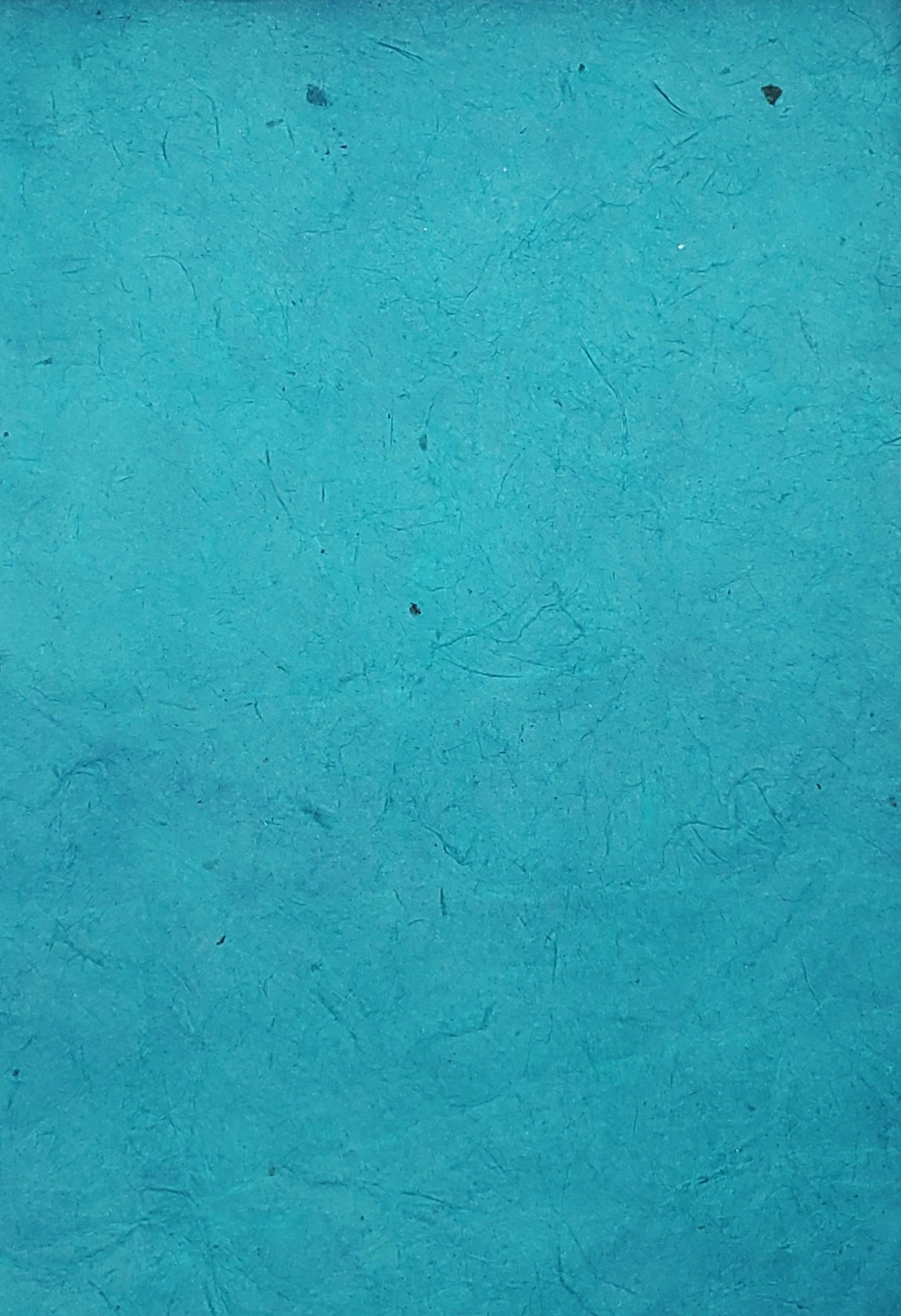 Lokta Dyed Denim