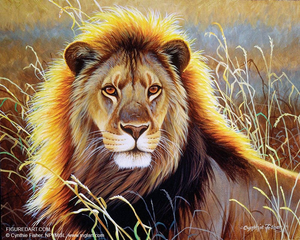 Figured'Art Paint By Number Framed Kit-Lion Savana Frame