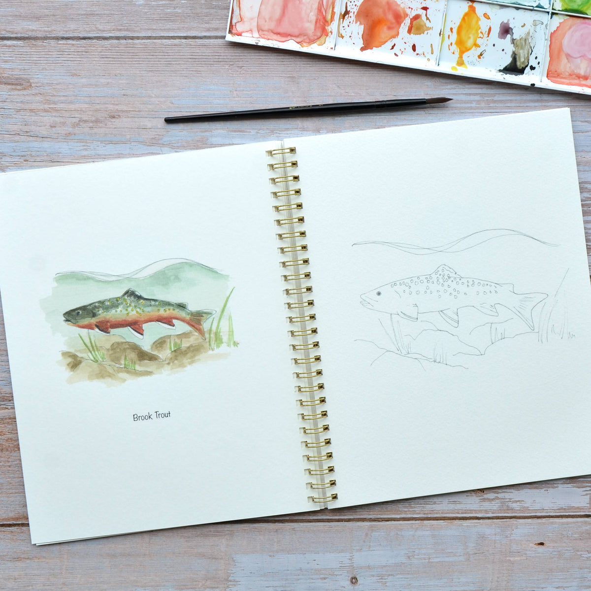 Watercolor workbook, Virginia Themed Watercoloring book