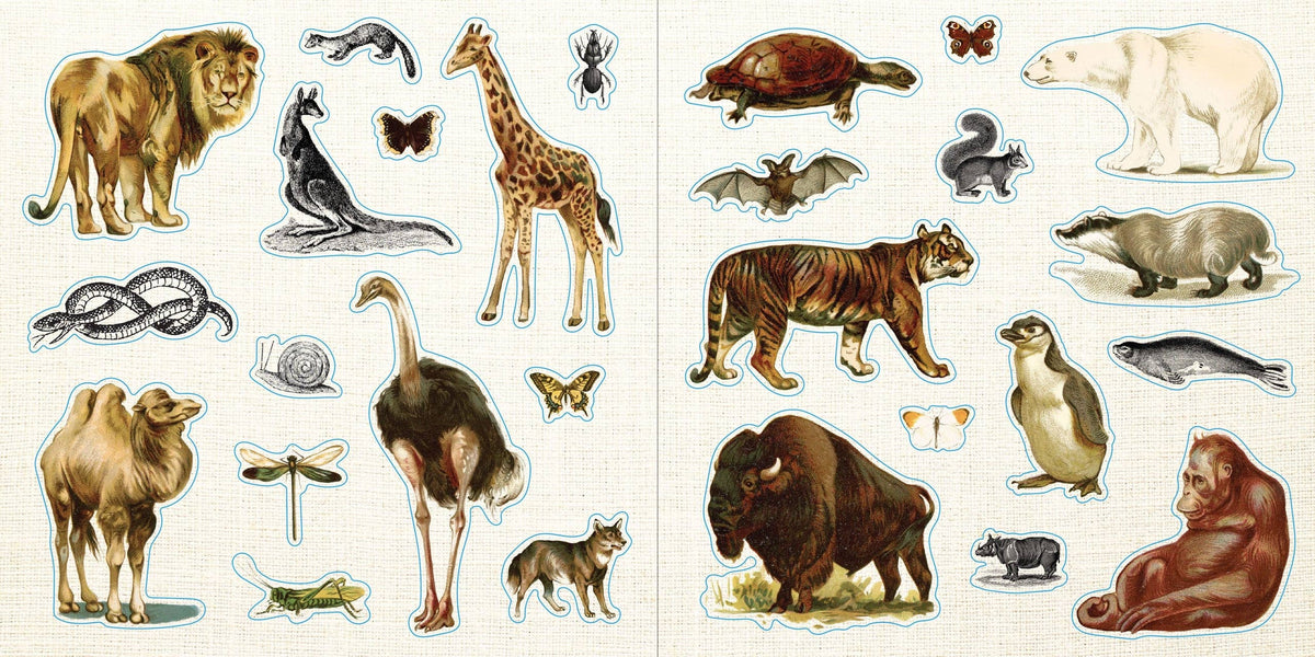 Loads of Ephemera! Sticker Book