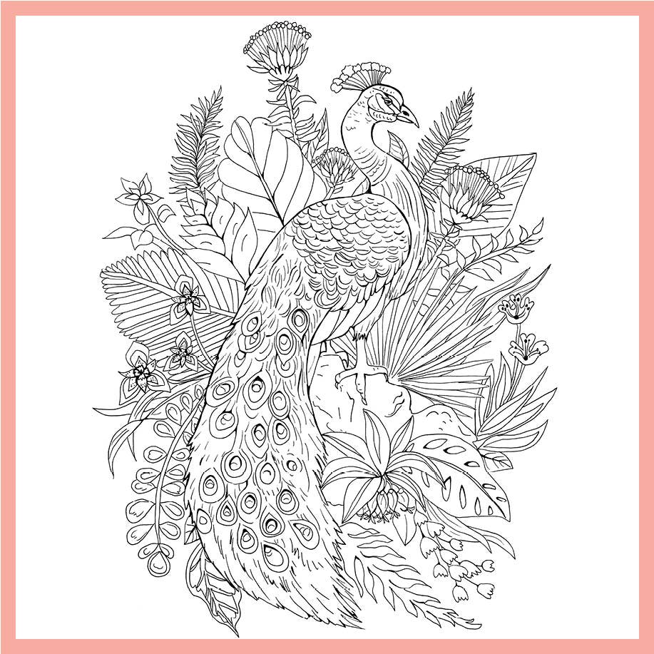 Tropical Wonderland: A Calming Coloring Book for Adults