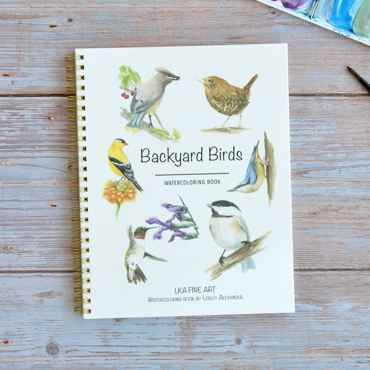 Watercolor workbook, Backyard Birds Watercoloring book