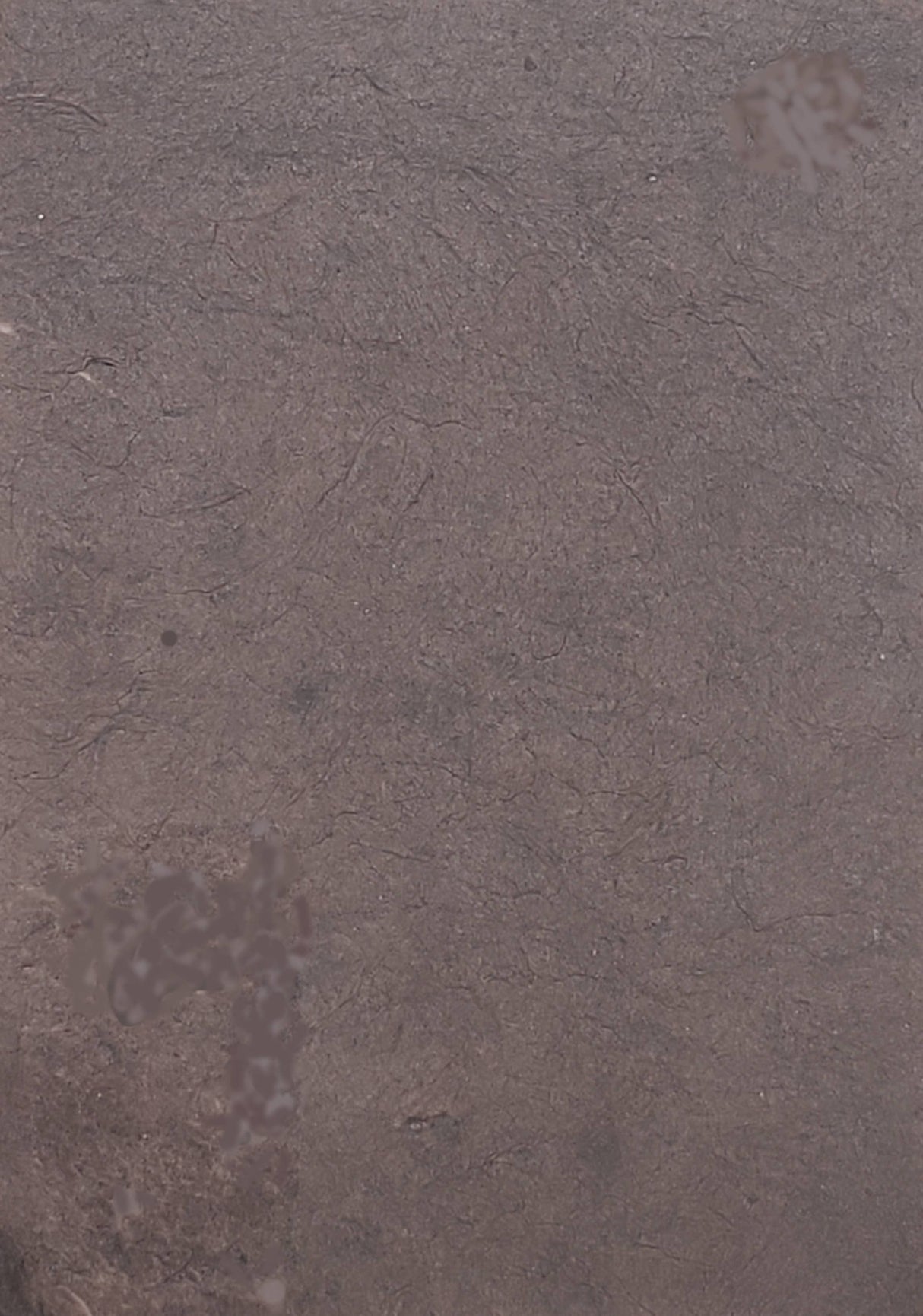 Lokta Dyed Earth