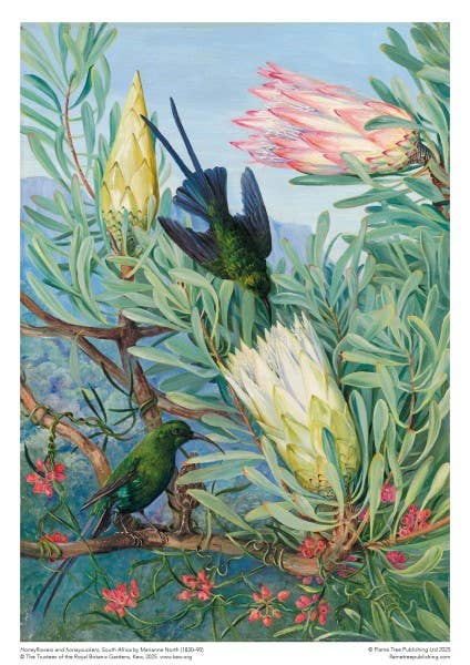 Marianne North: Honeyflowers And Honeysuckers Jigsaw Puzzle