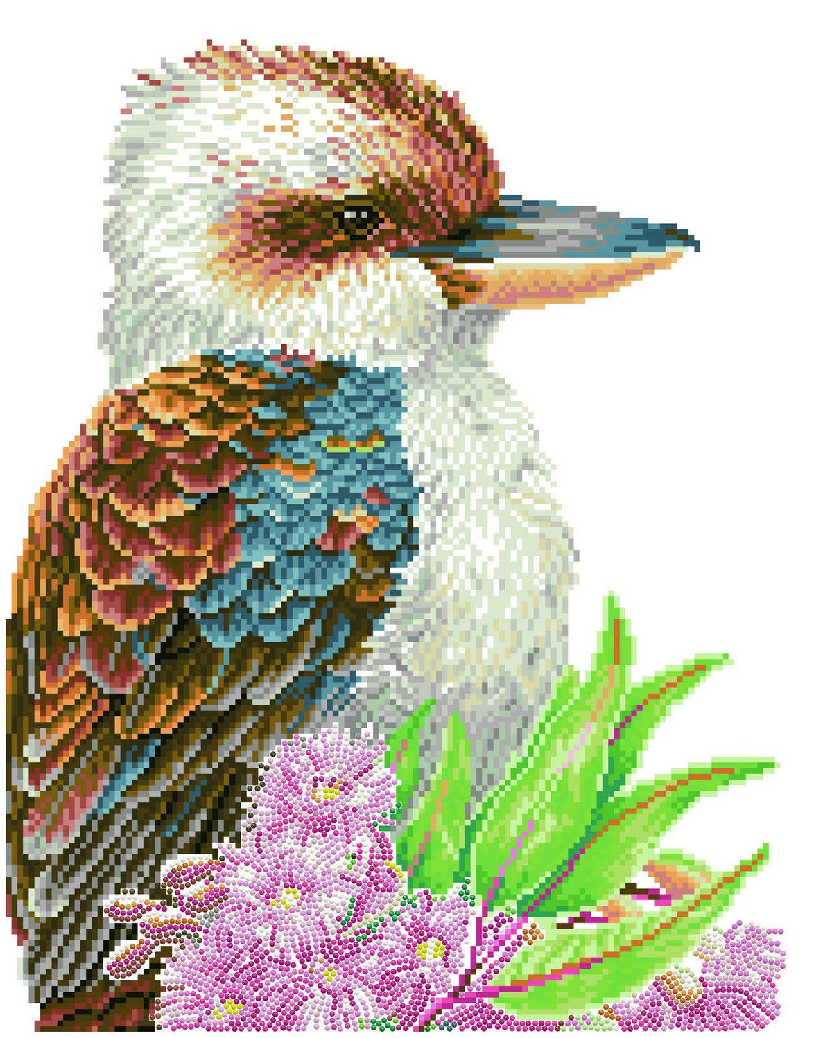 Kookaburra & Gum Blossom