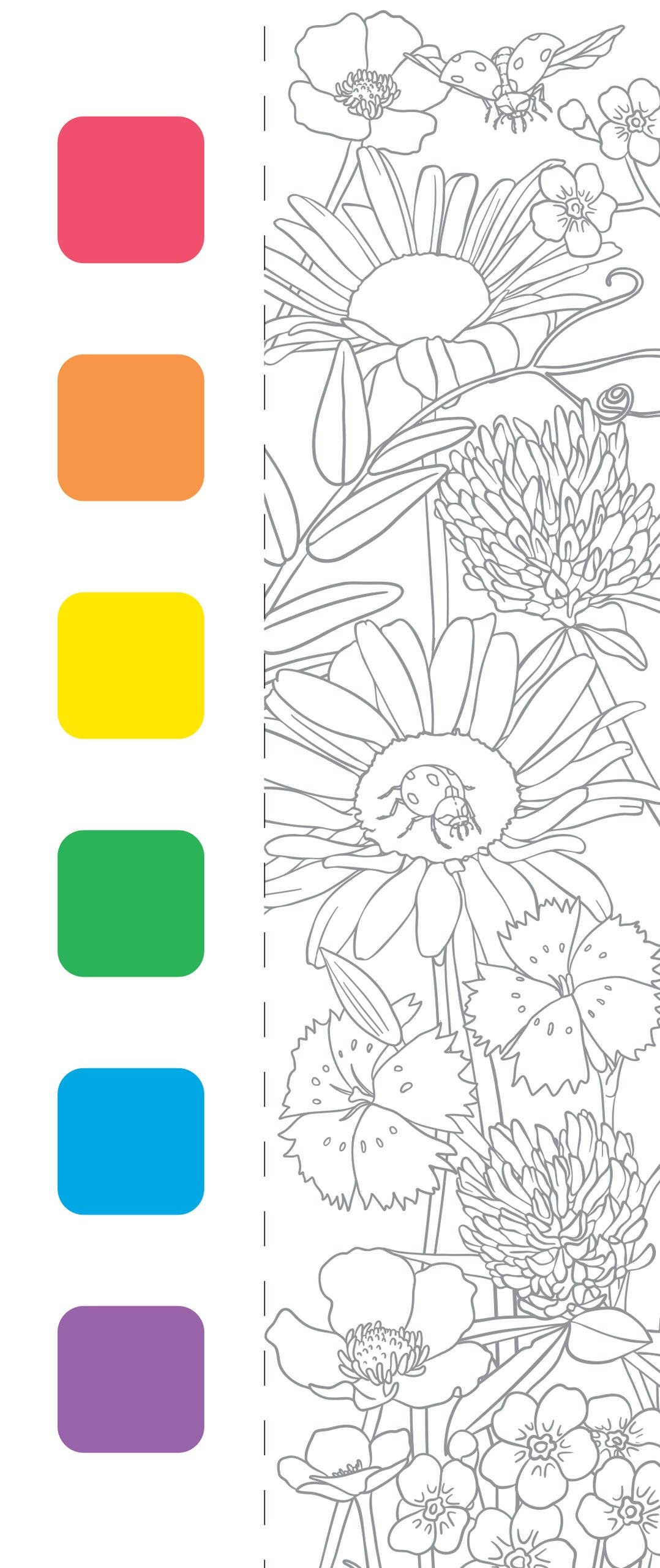 Wildflowers Watercolor Painting Kit