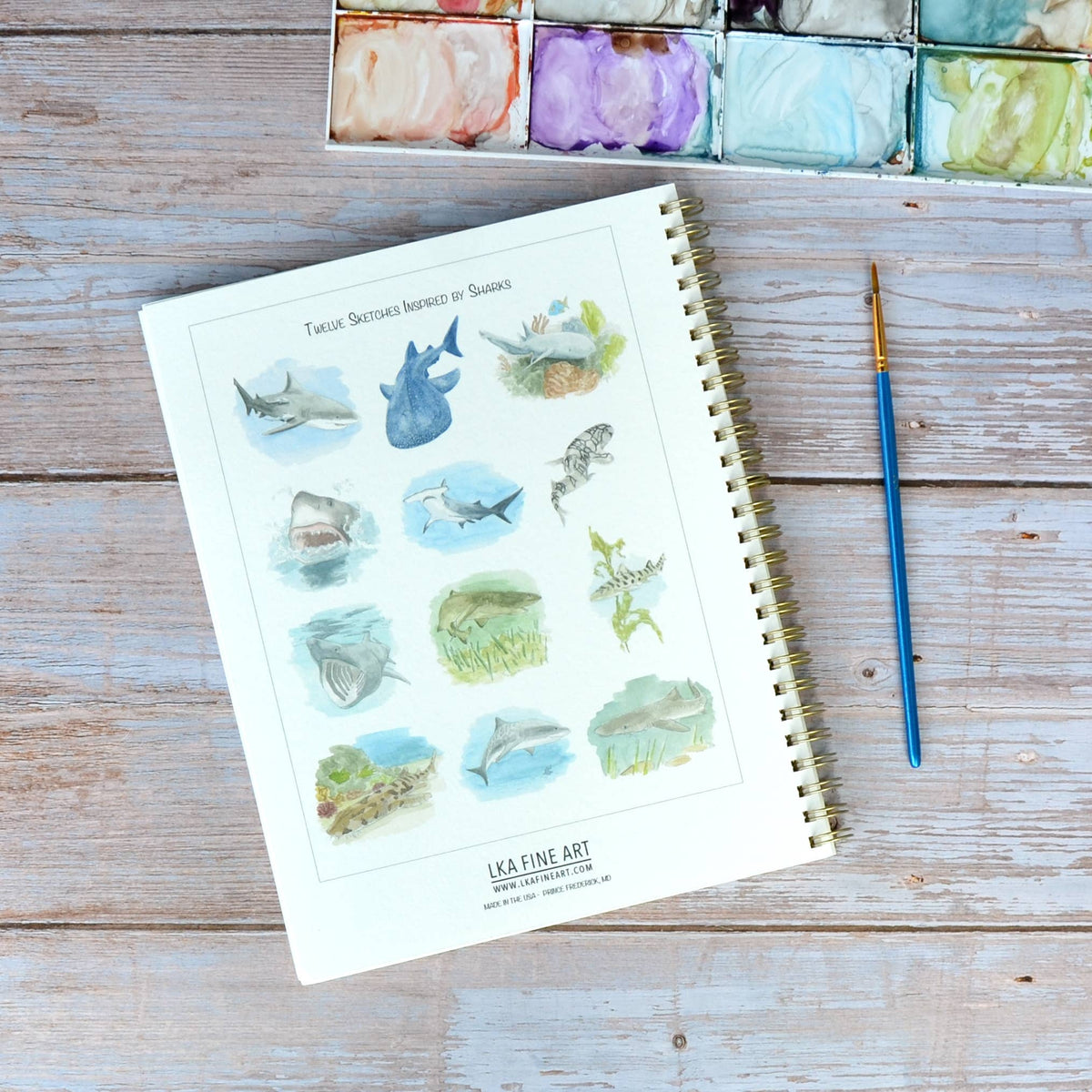 Watercolor workbook, Shark themed Watercoloring book