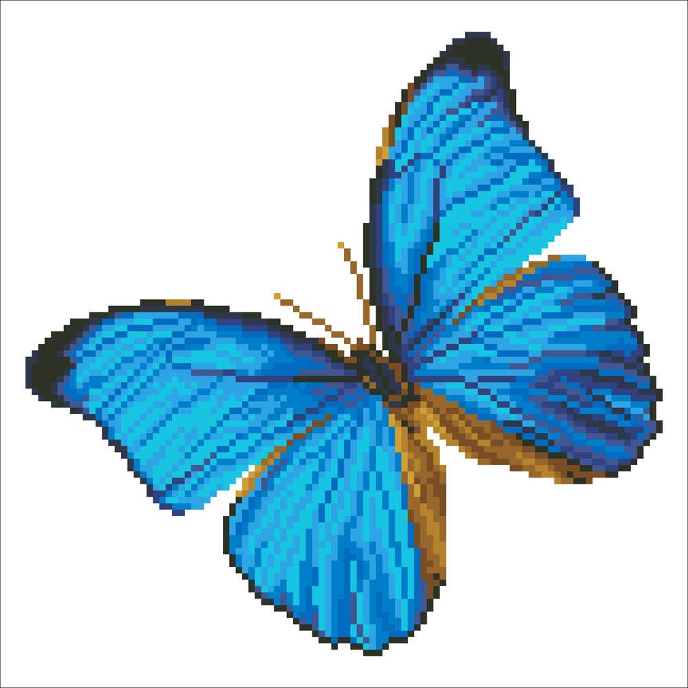 Flutter by Blue