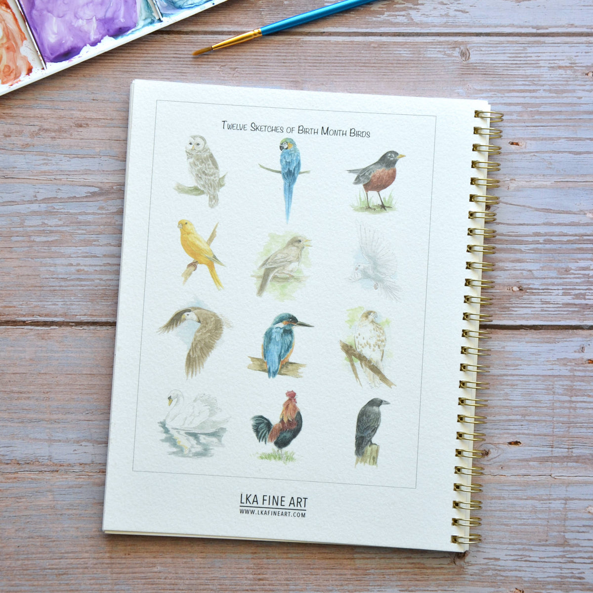 Watercolor workbook, Birth Month Birds Watercoloring book
