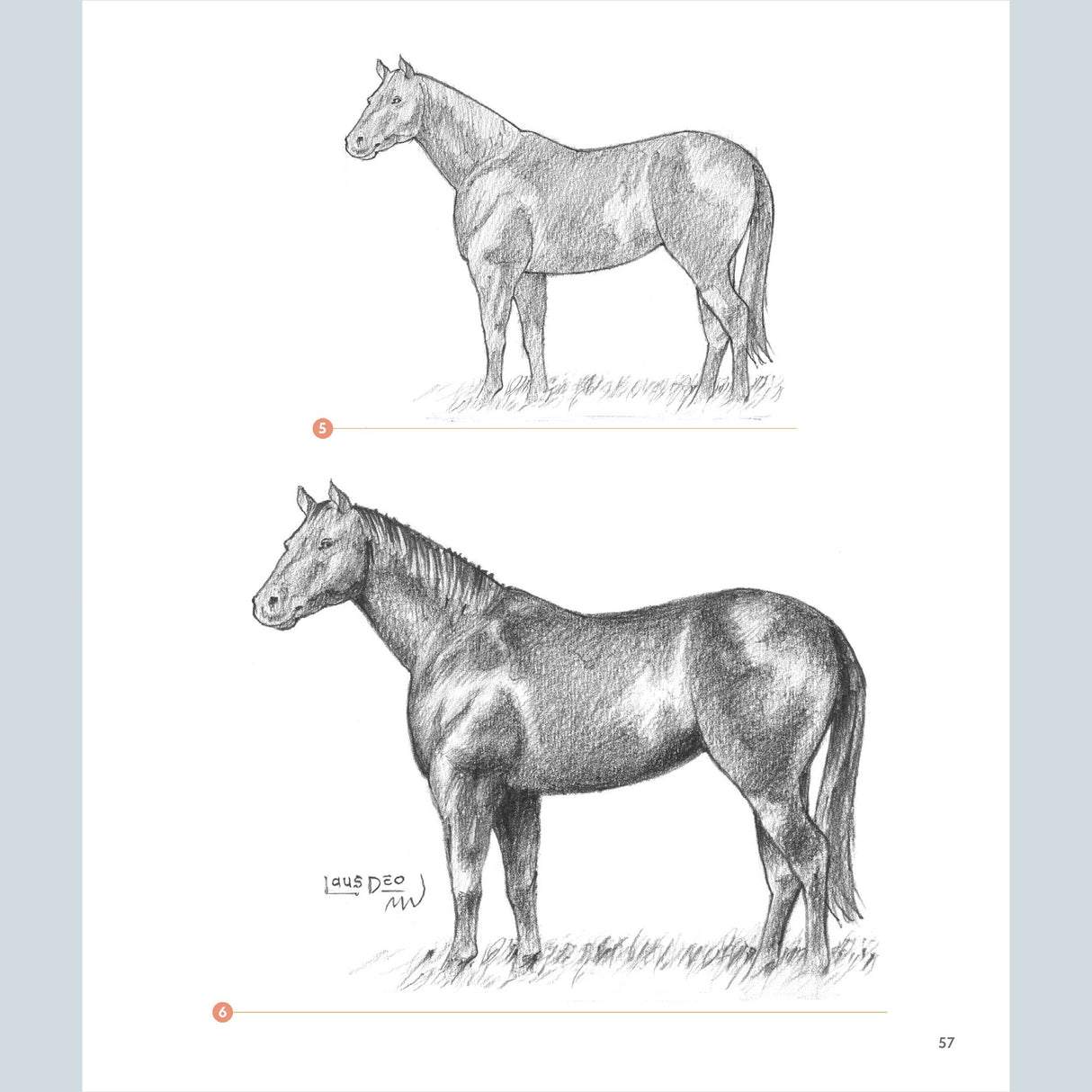 How to Draw Step by Step: A Guide to Realistic Drawing