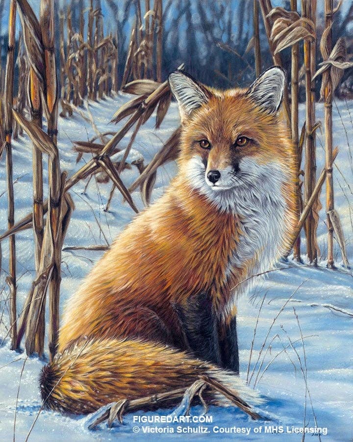 Figured'Art Paint By Number Rolled Kit -Fox in the snow