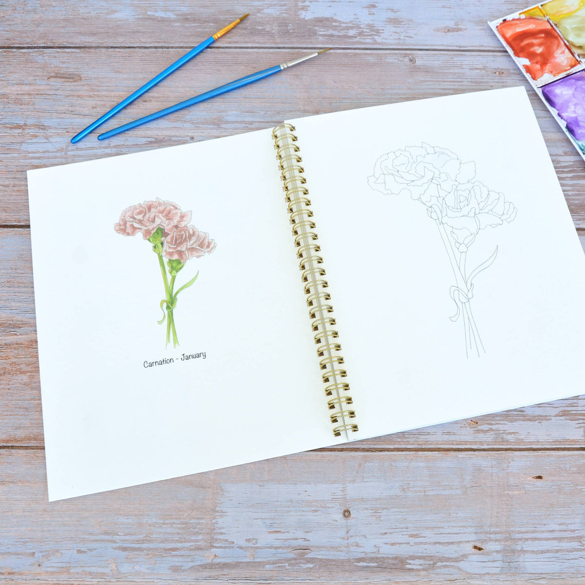 Watercolor workbook, Birth Month Flowers Watercoloring book