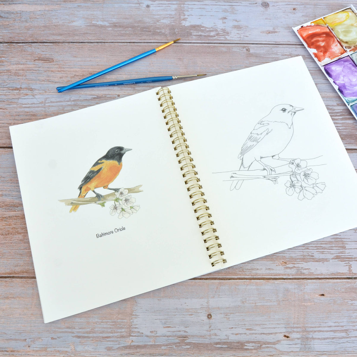 Watercolor workbook, Maryland Themed Watercoloring book