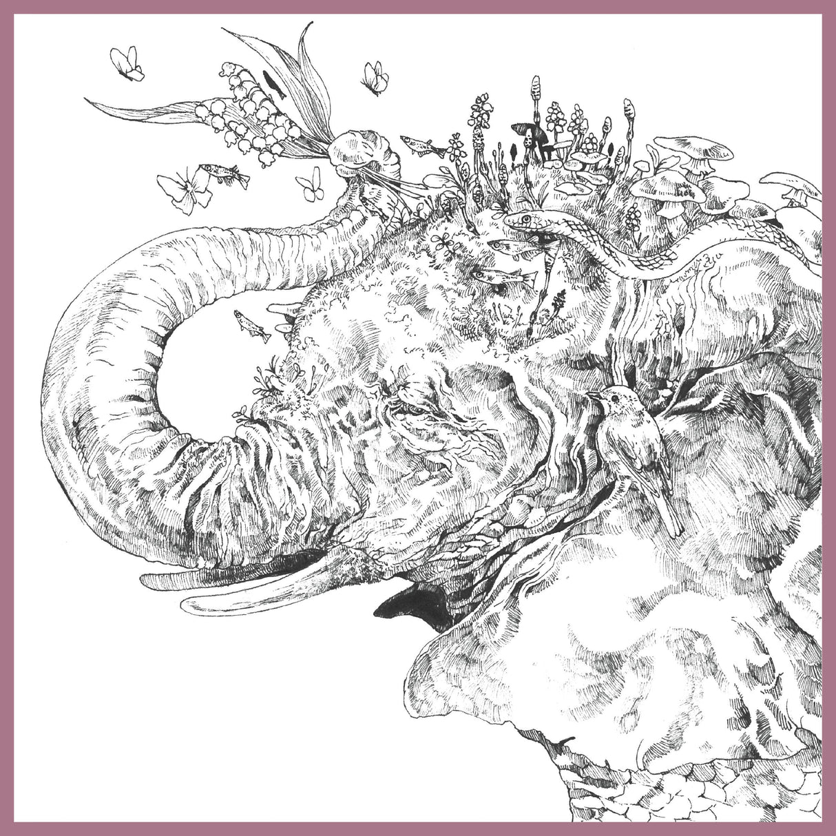 Ecotopia: Color a World of Wonder