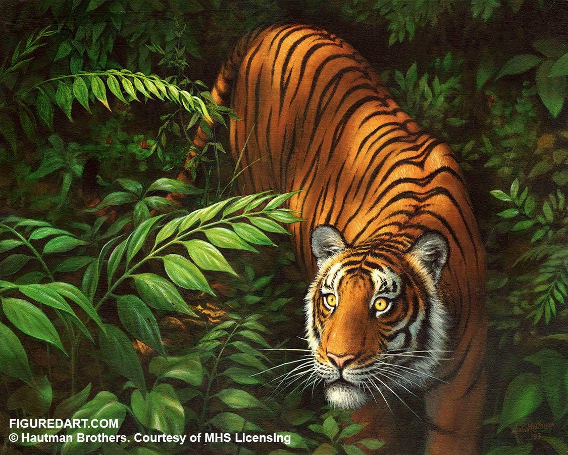 Figured'Art Paint By Number Rolled Kit -Tiger in Ferns