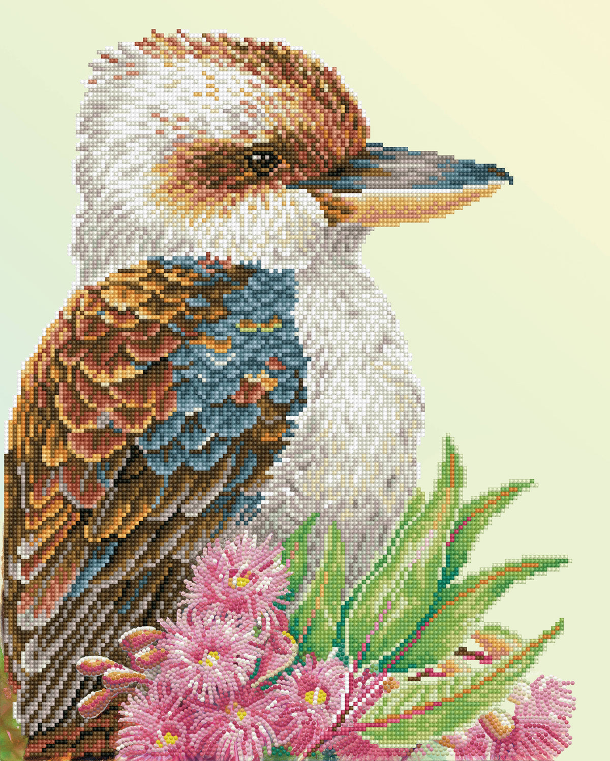 Kookaburra & Gum Blossom