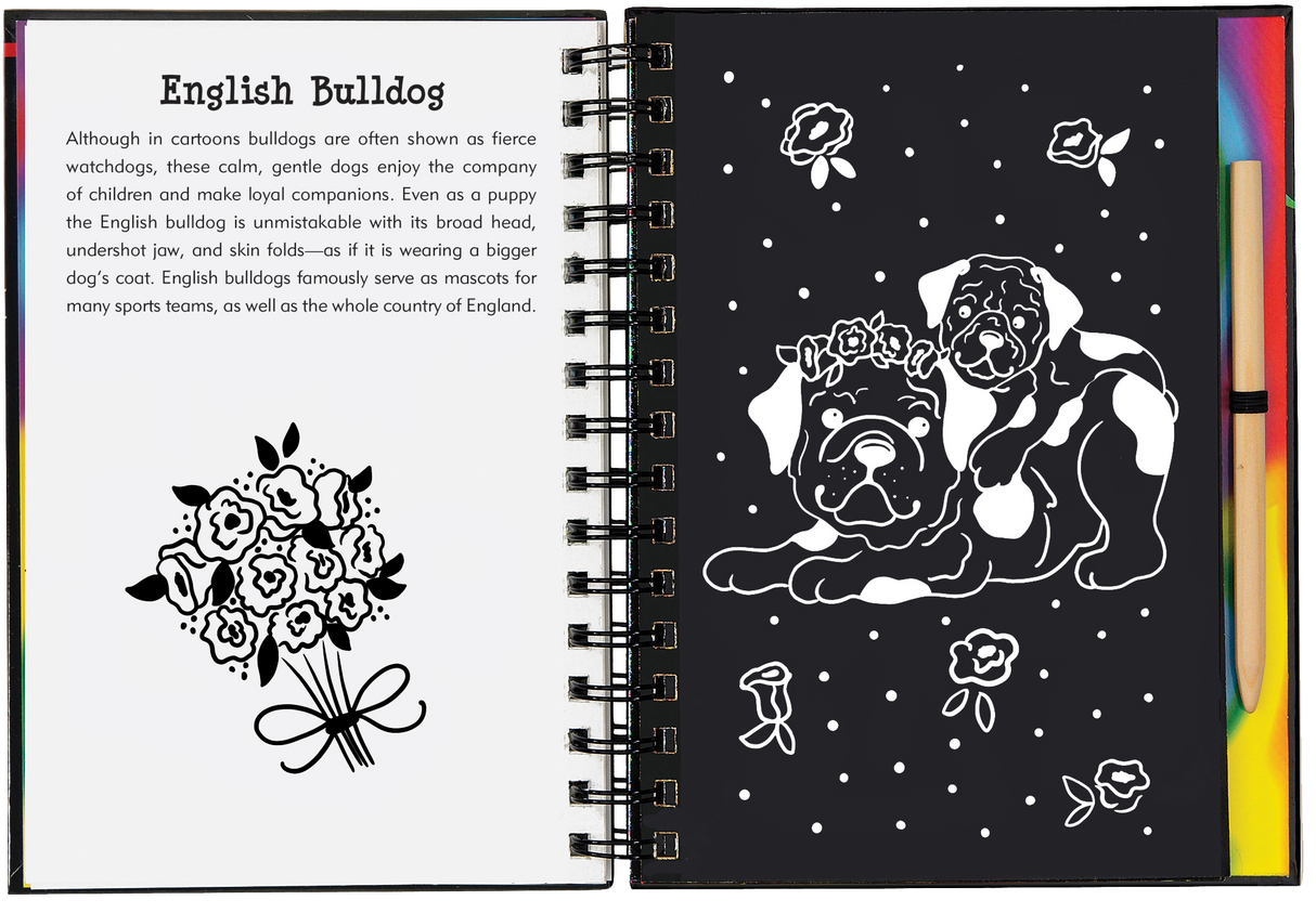 Puppies Scratch and Sketch