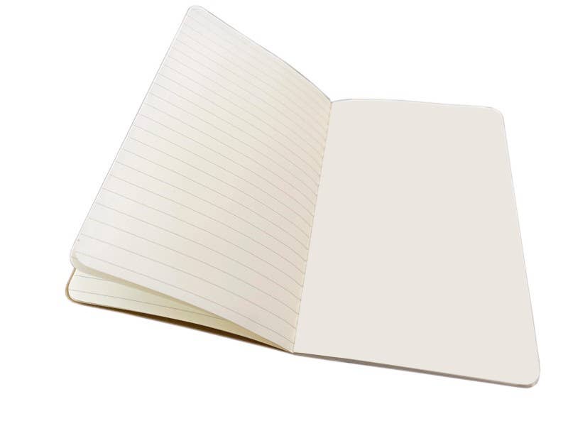 Lesley Anne Ivory Set of 3 Mini Notebooks