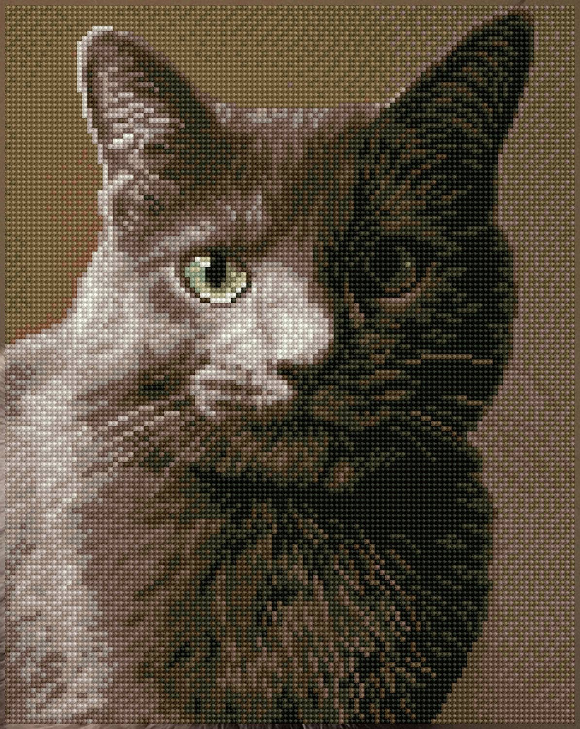 Smokey (Framed Square)