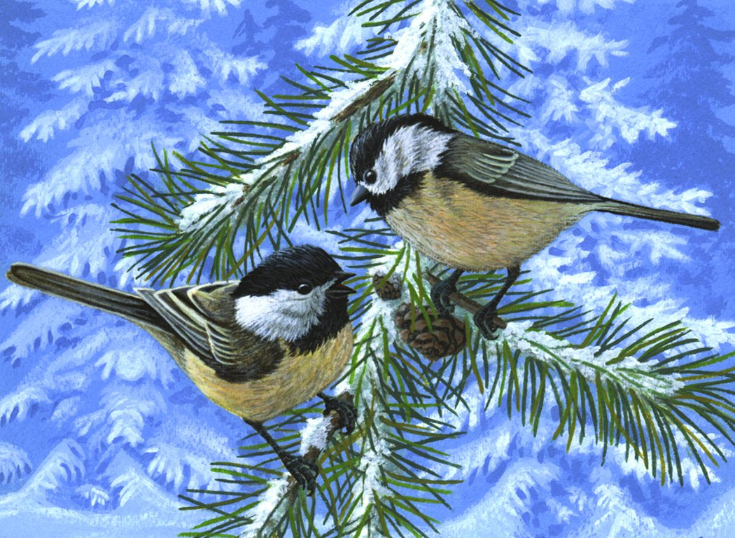 Royal Brush Adult Painting by Numbers Kit, Pine Birds
