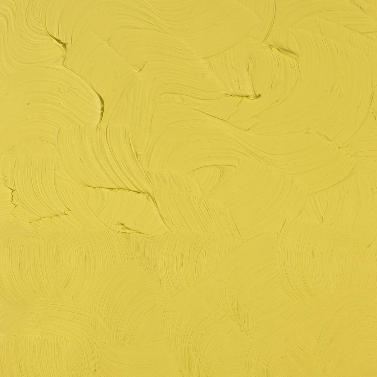 Gamblin Artist Grade Oil Color, 37ml, Nickel Titanate Yellow